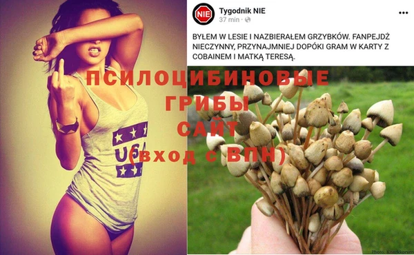 синтетический гашиш Абдулино