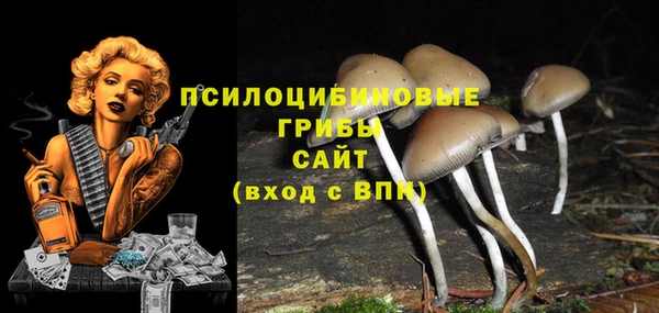 PSILOCYBIN Абинск