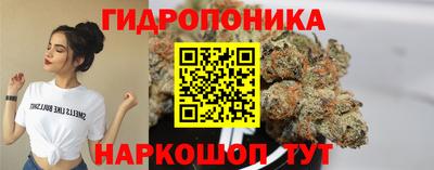 шишки Гусиноозёрск