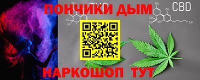 шишки Гусиноозёрск