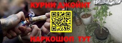 шишки Гусиноозёрск