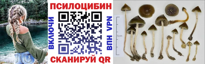 Псилоцибиновые грибы MAGIC MUSHROOMS хочу наркоту Клинцы