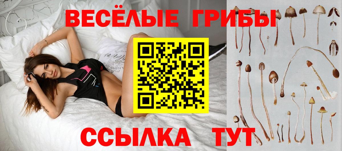 Клинцы  купить   Вход с VPN  Галлюциногенные грибы MAGIC MUSHROOMS 